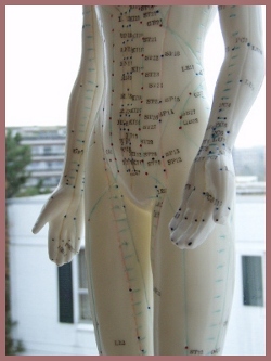 Illustration des méridiens dans le corps humain